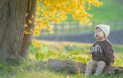 写真コンクール